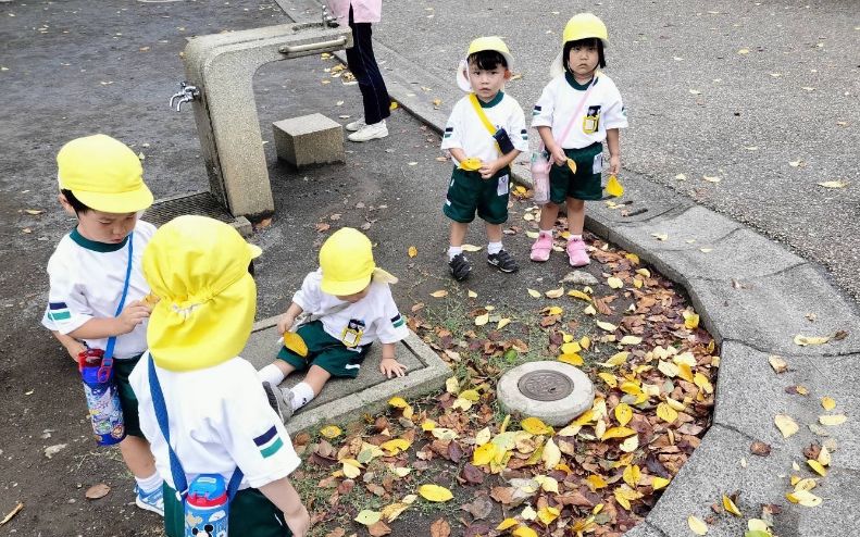 東京都認可校 石川幼稚園